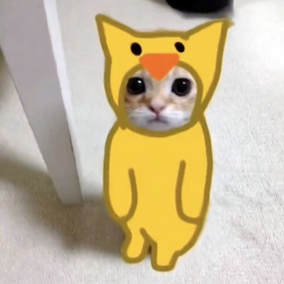 lycheespice